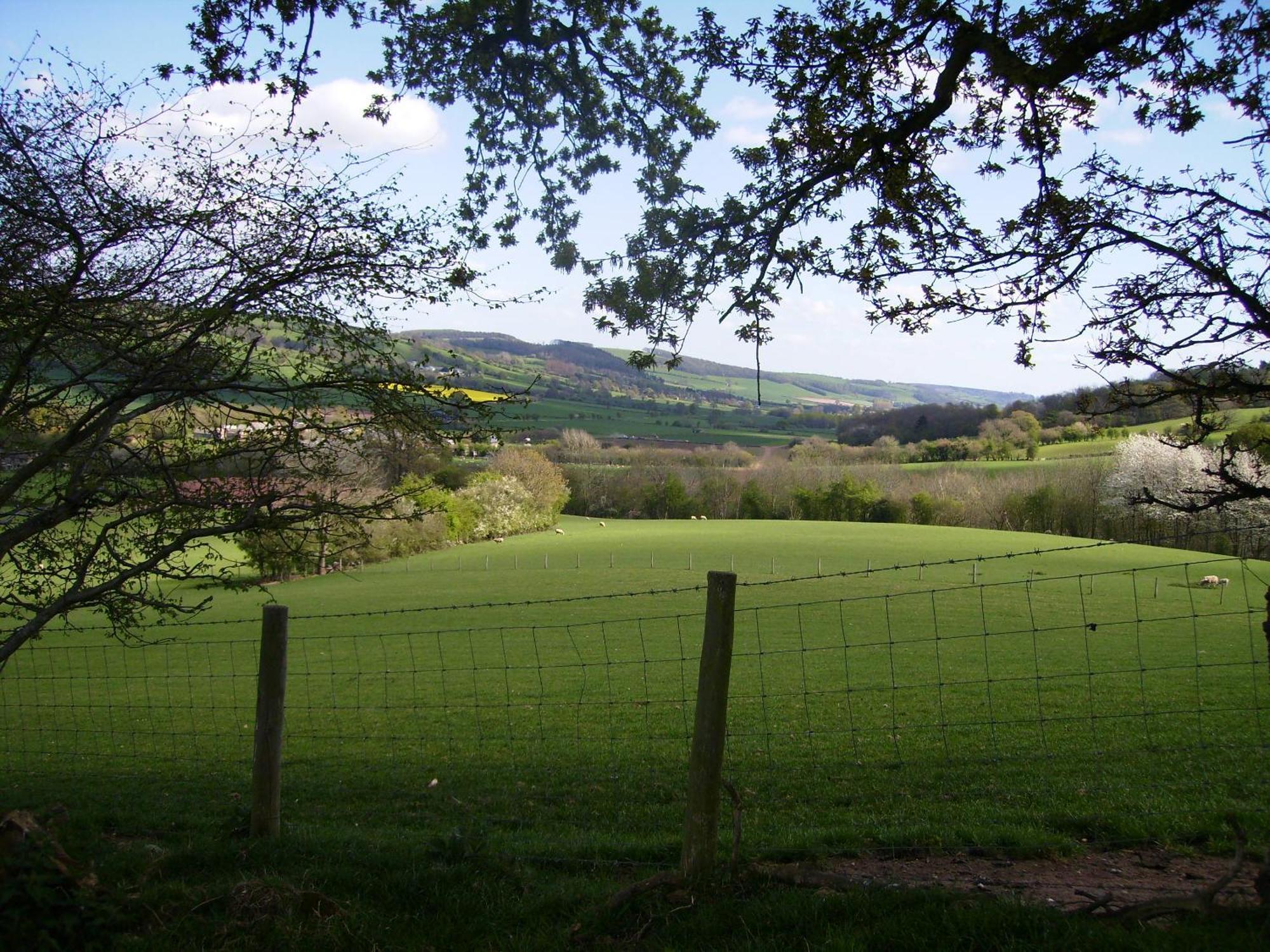 Highfield Bed & Breakfast Hay-On-Wye Exterior foto