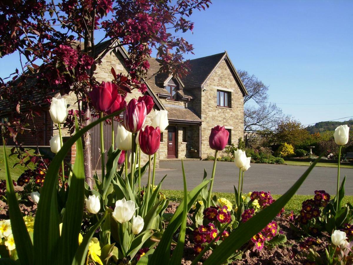 Highfield Bed & Breakfast Hay-On-Wye Exterior foto
